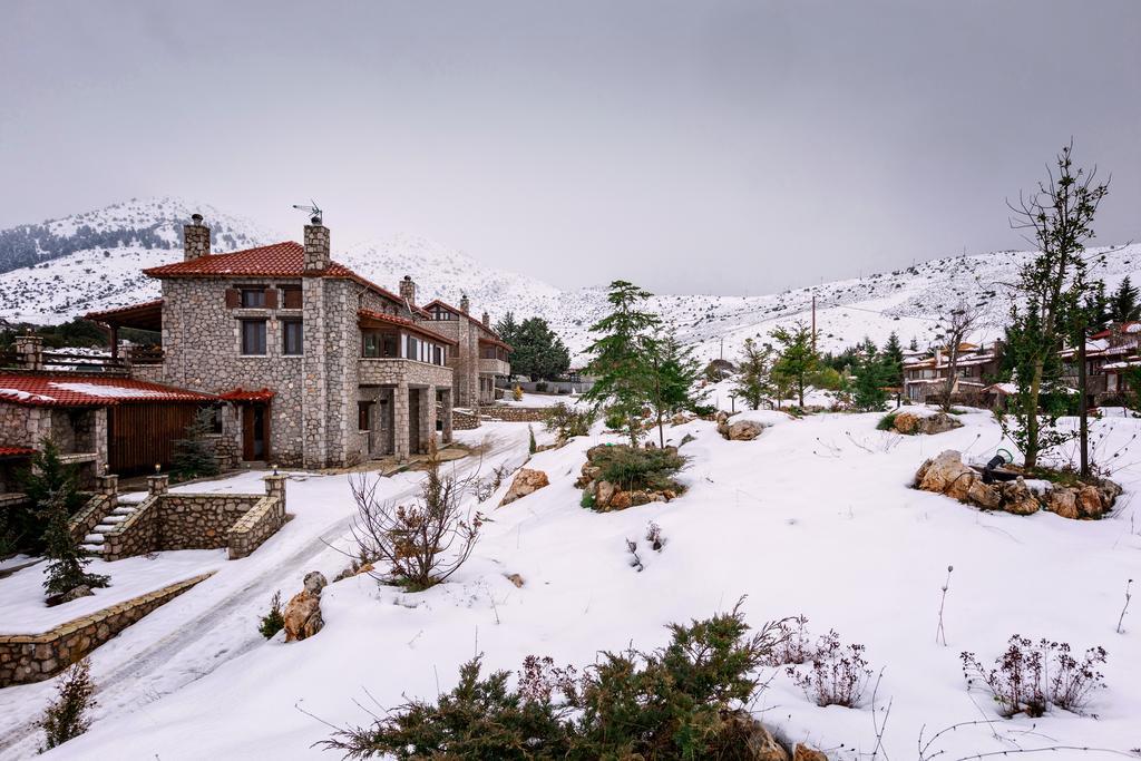 Monte Bianco Villas Arachova Exterior photo