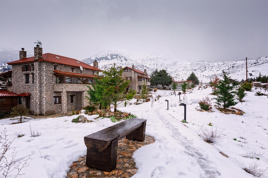 Monte Bianco Villas Arachova Exterior photo